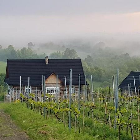 Utopia Dom Przy Winnicy Nowica Exterior photo