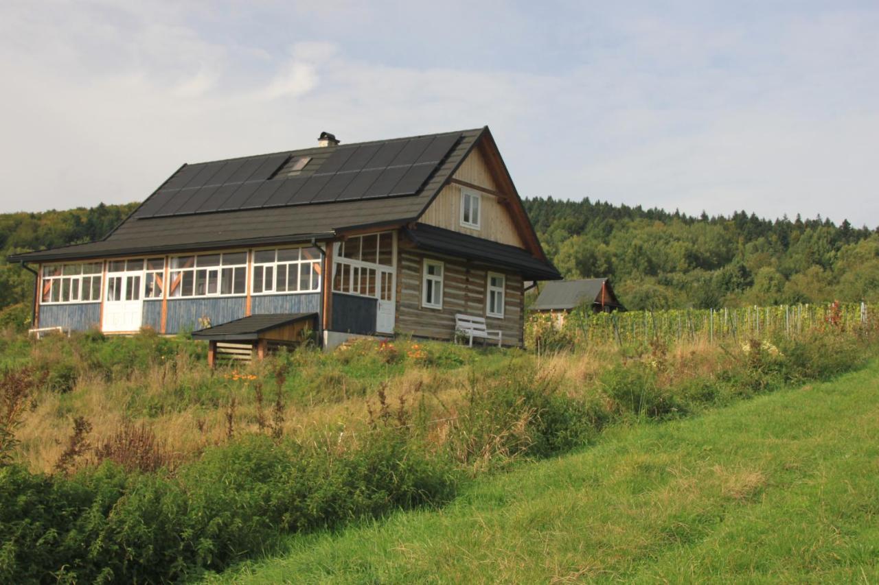 Utopia Dom Przy Winnicy Nowica Exterior photo