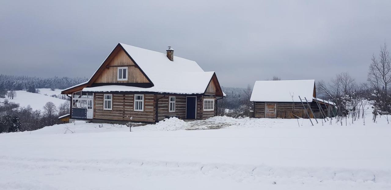 Utopia Dom Przy Winnicy Nowica Exterior photo